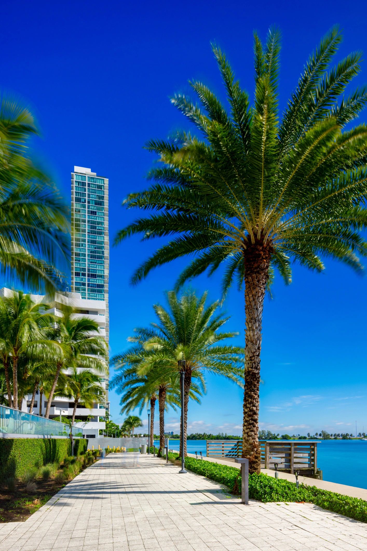 modern commercial construction Florida